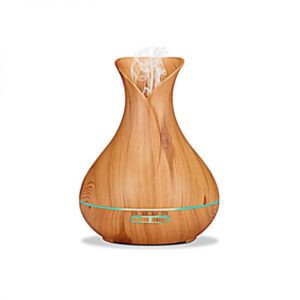 Aromatherapy Humidifier and Essential Oil Diffuser