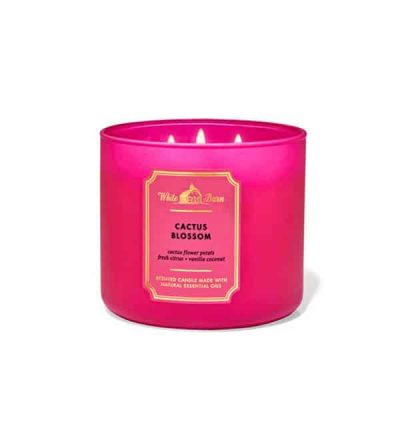 White Barn Cactus Blossom 3-Wick Scented Candle
